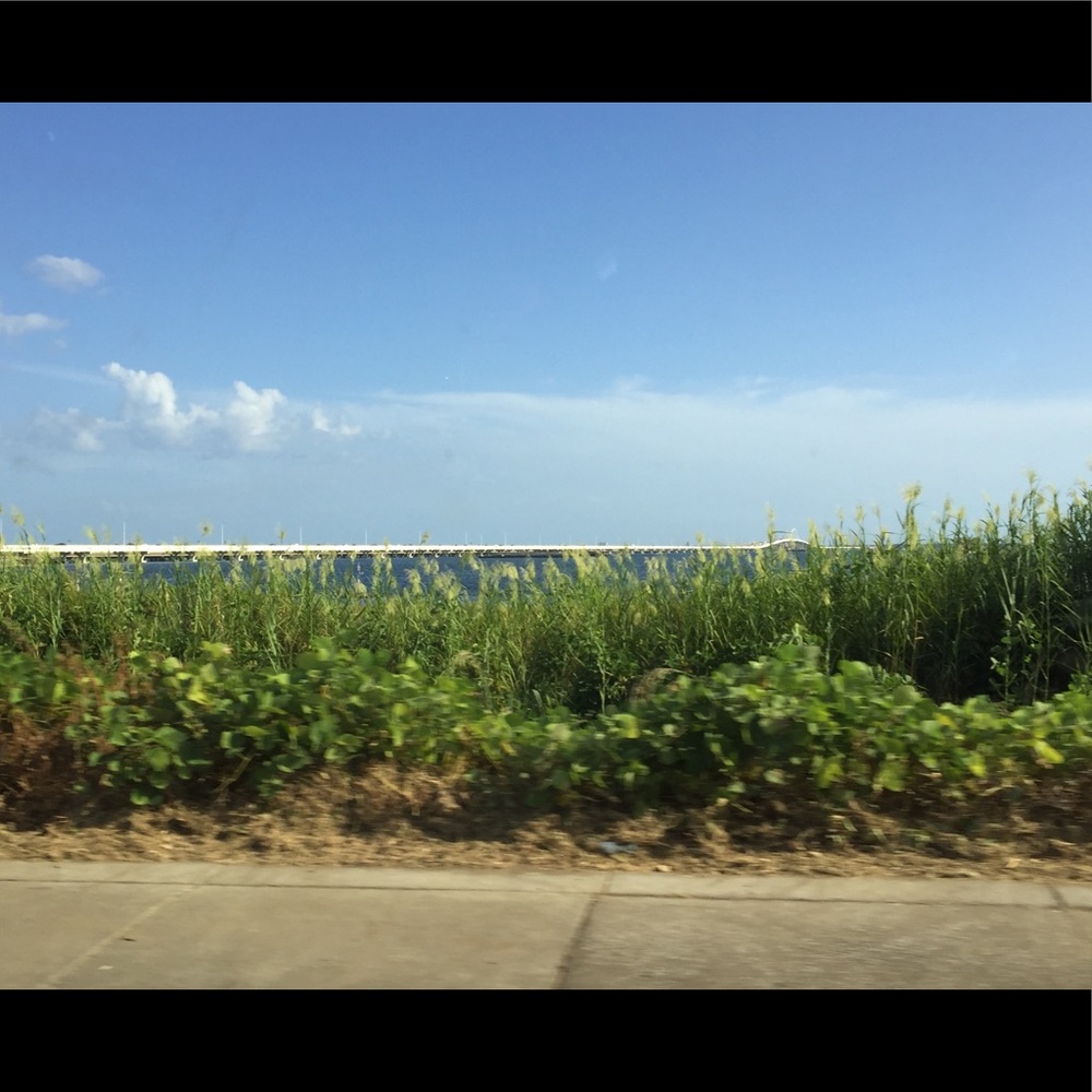 Meet your Posher, Ali